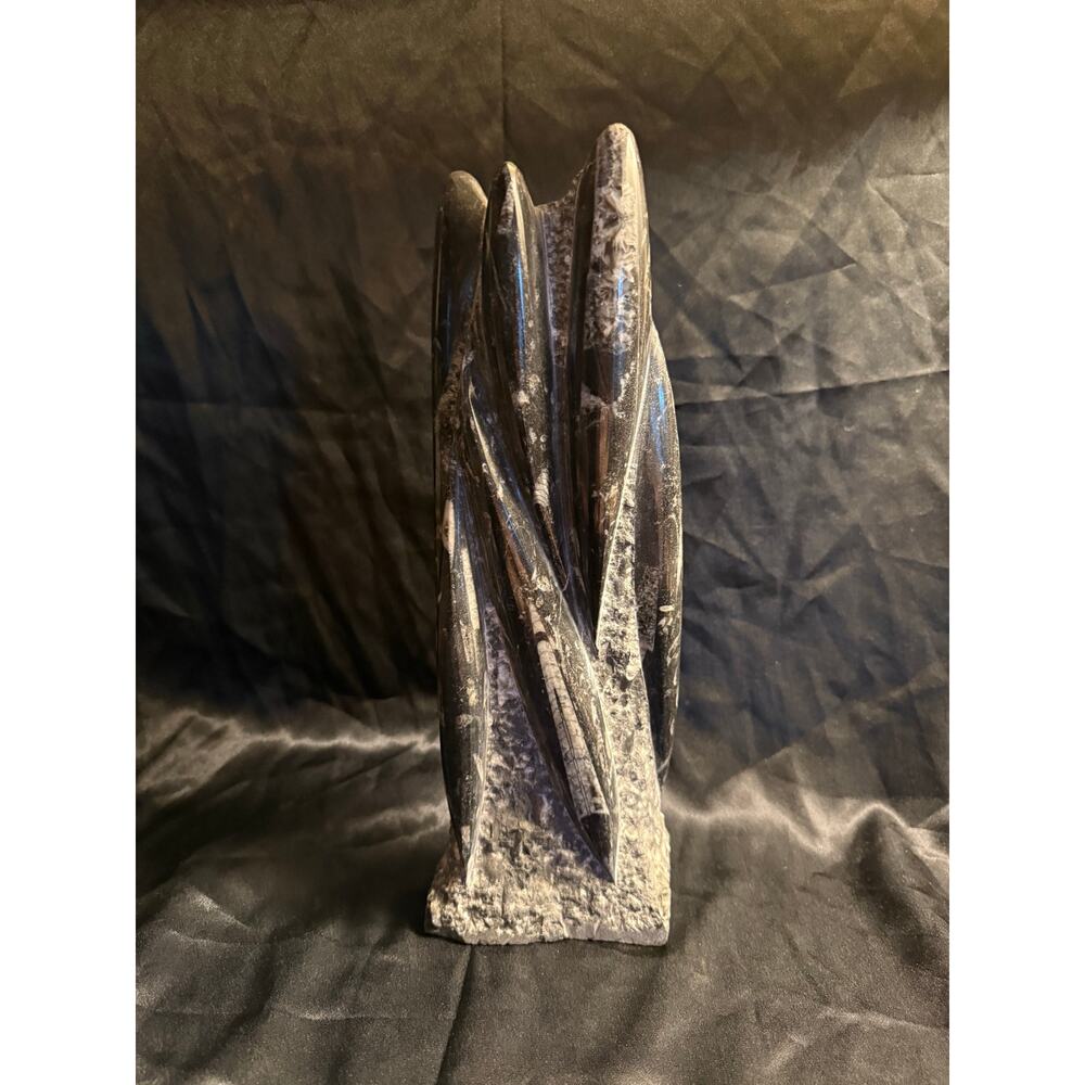 Orthoceras Fossil Tower 5LB 90Z 12” from Morocco Prehistoric